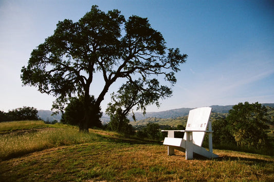 Andie Thornton - Poetry in natural light and open space