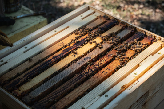 Honey from the Ehret Estate
