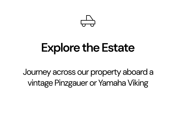 A white graphic with a small line drawing of a car at the top, the text 'Explore the Estate' in bold, and smaller text below reading 'Journey across our property aboard a vintage Pinzgauer or Yamaha Viking'.