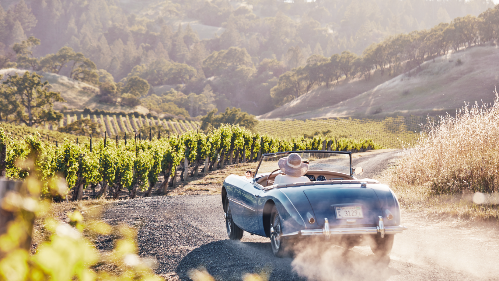 Woman traveling in a blue car towards the scenic Ehret Vineyard