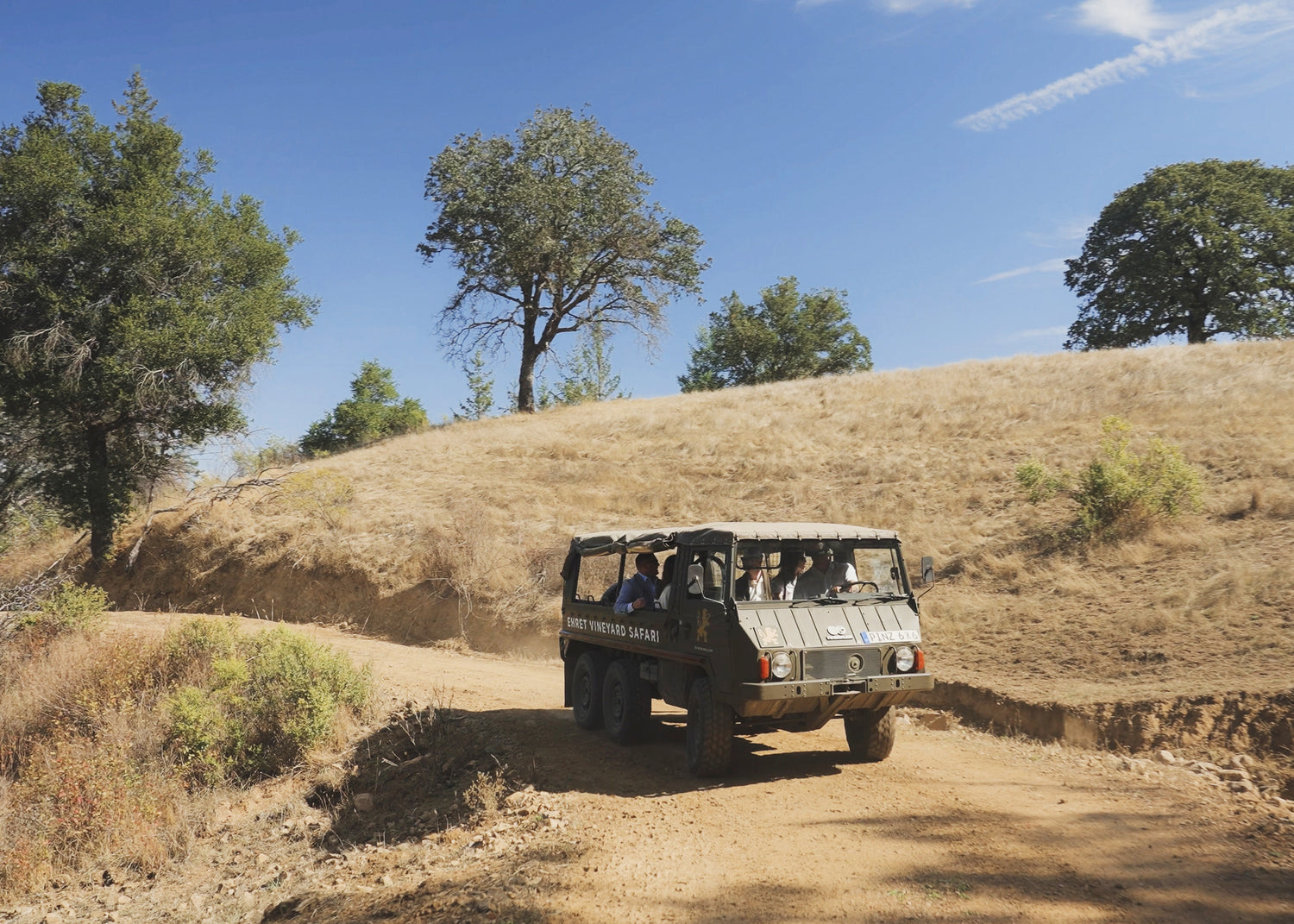 A vintage open-top safari-style vehicle drives along a dirt road through a grassy landscape with trees under a blue sky during the Ehret Winery Vineyards Safari.