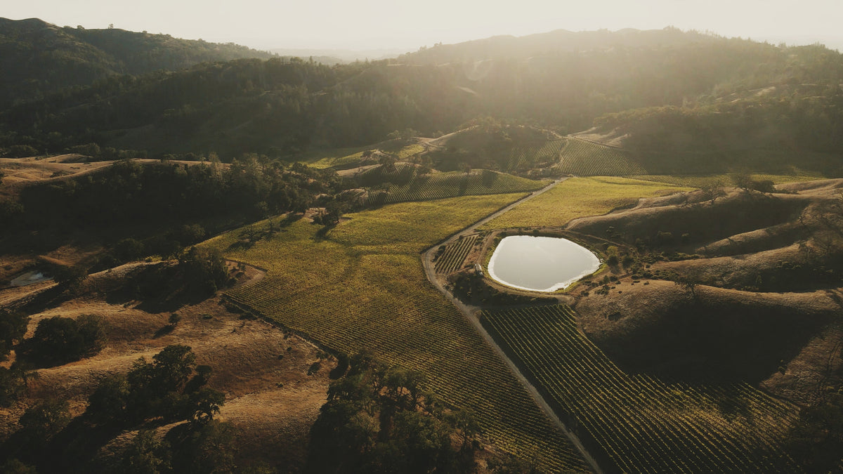 the Ehret Winery estate from a aerial  perspective showing the vineyards and a small lake in the evening sun.